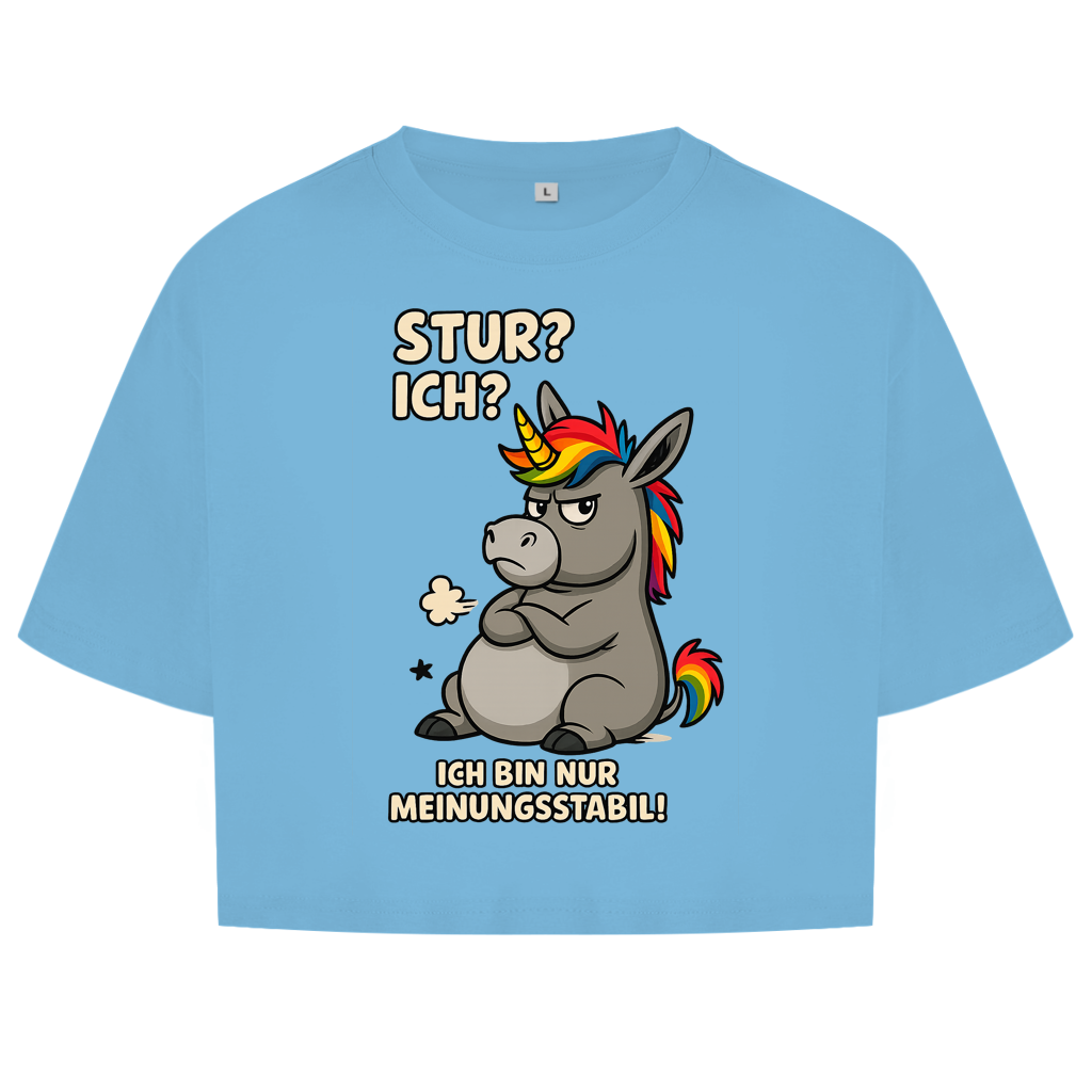 Damen Oversize Crop Top Einhorn Moppelig Meinungsstabil