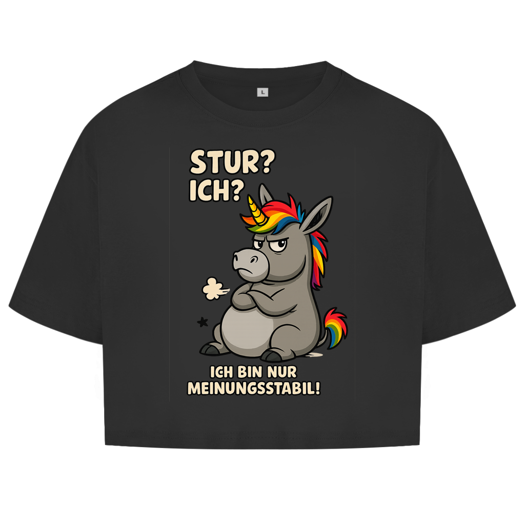 Damen Oversize Crop Top Einhorn Moppelig Meinungsstabil