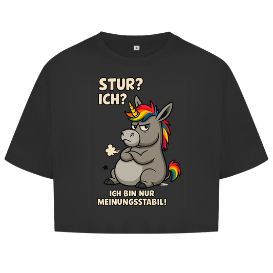 Damen Oversize Crop Top Einhorn Moppelig Meinungsstabil