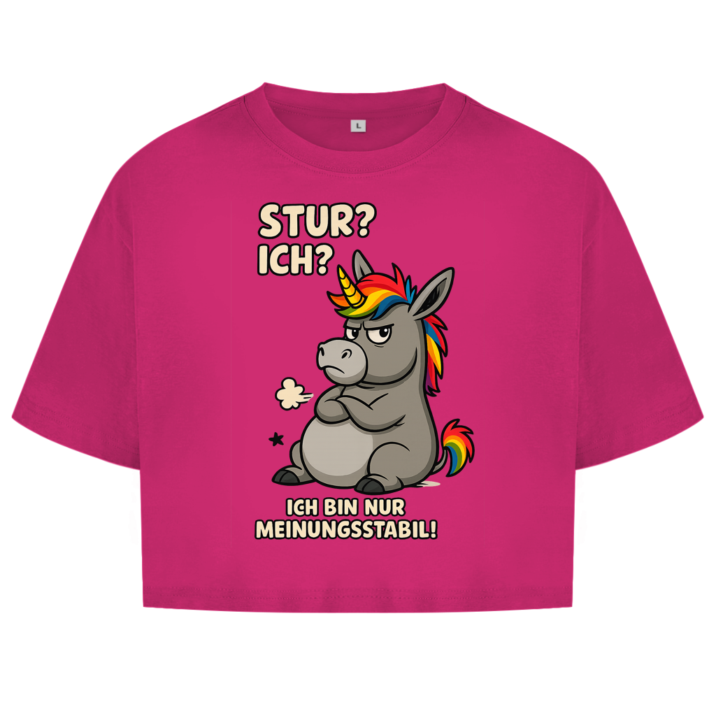 Damen Oversize Crop Top Einhorn Moppelig Meinungsstabil