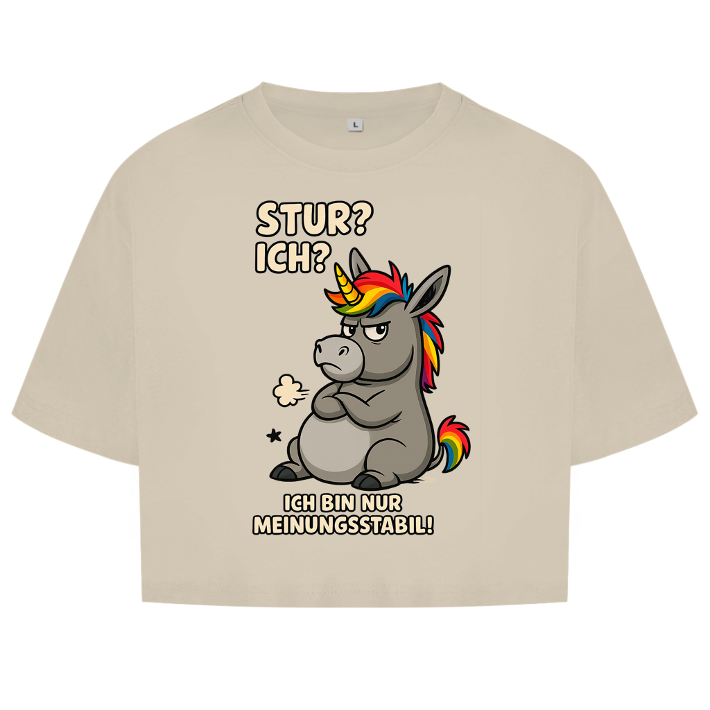 Damen Oversize Crop Top Einhorn Moppelig Meinungsstabil