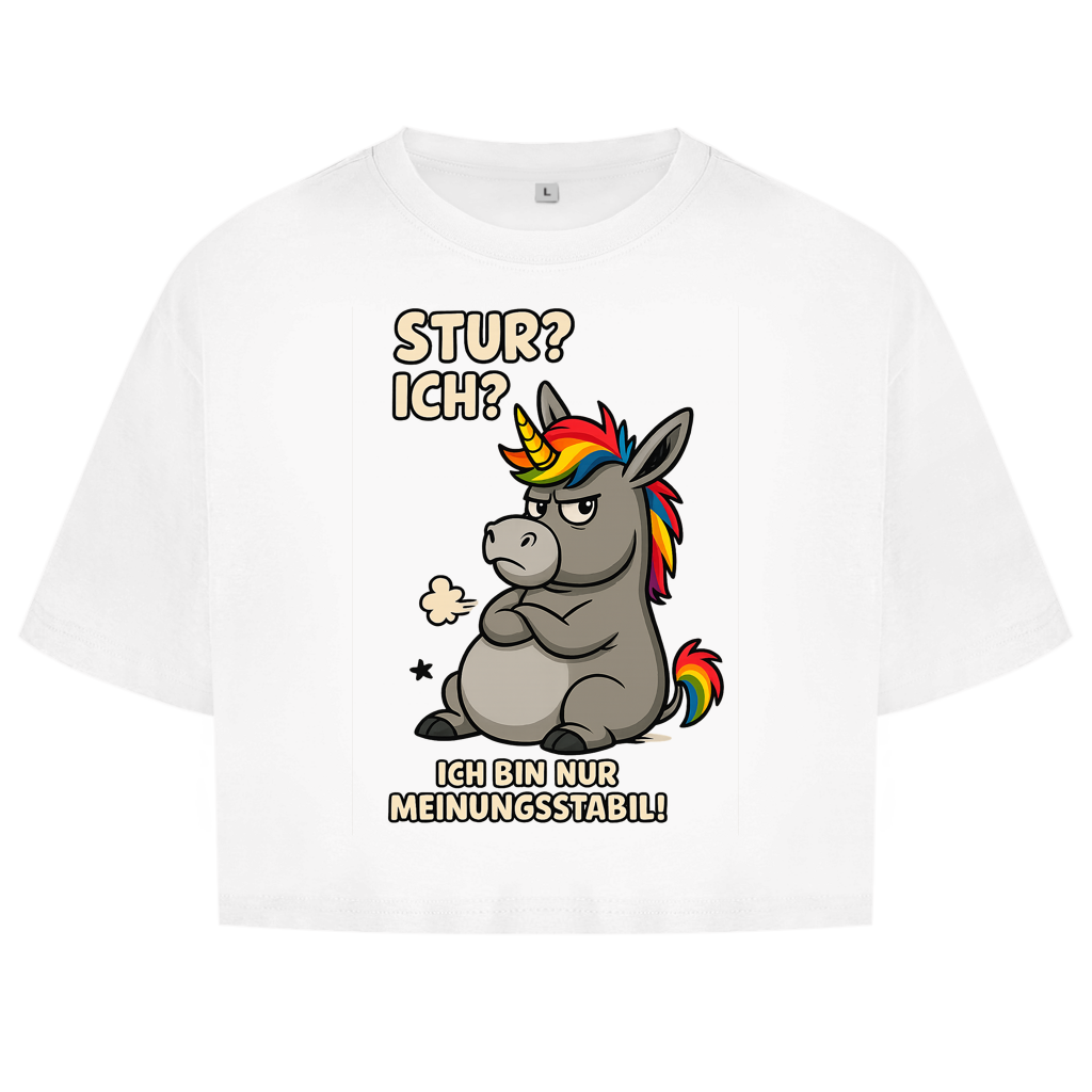 Damen Oversize Crop Top Einhorn Moppelig Meinungsstabil