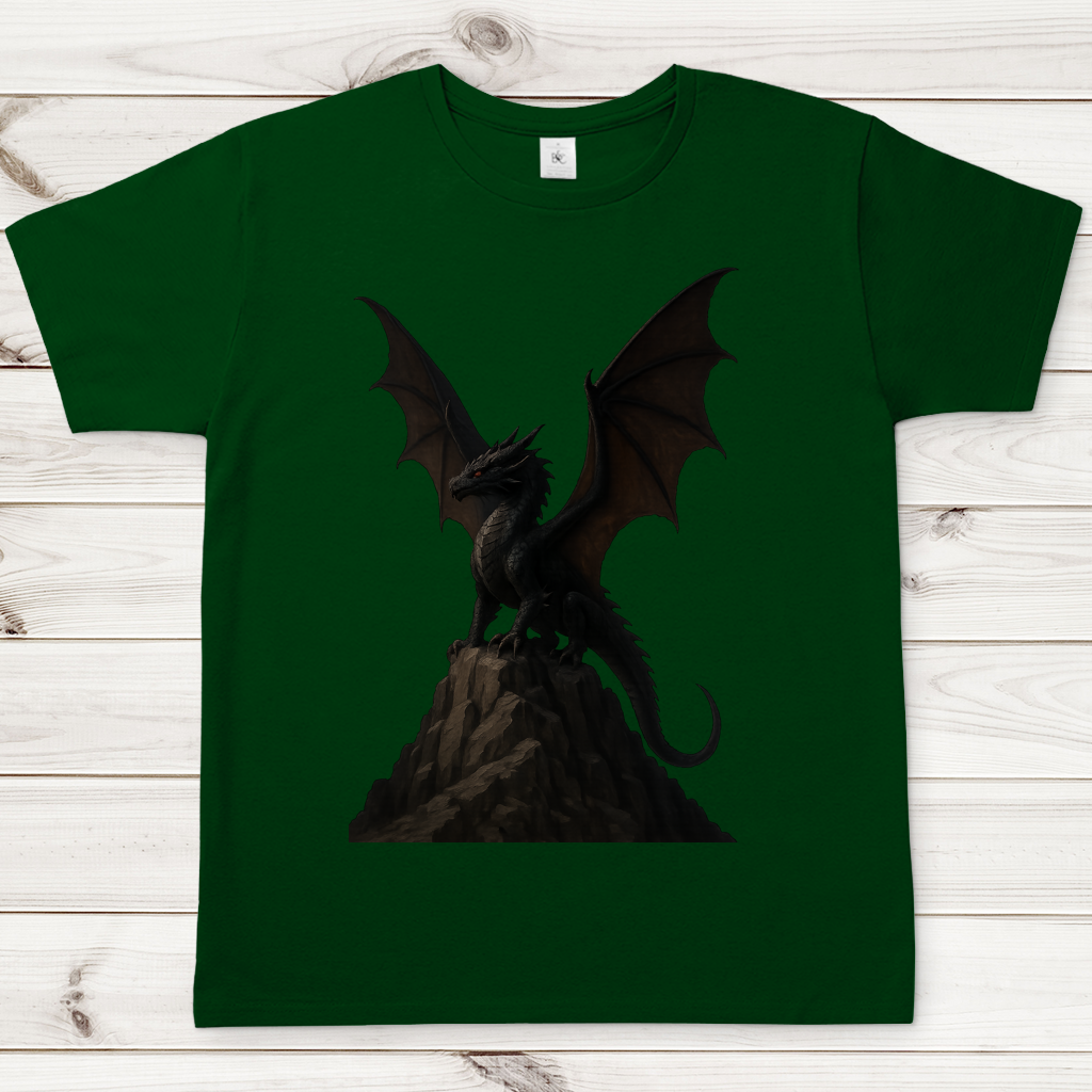 Herren T-Shirt Drache schwarz breite Flügel auf Felsen