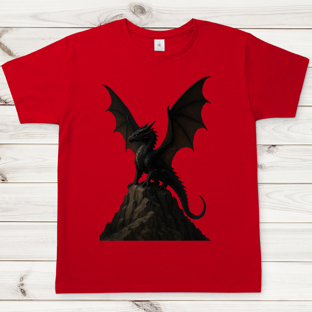 Herren T-Shirt Drache schwarz breite Flügel auf Felsen