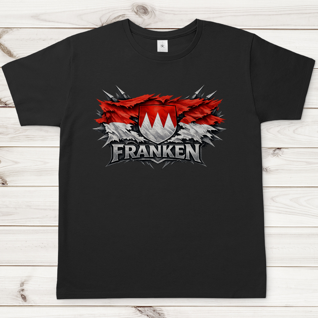 Herren T-Shirt Franken Fahne