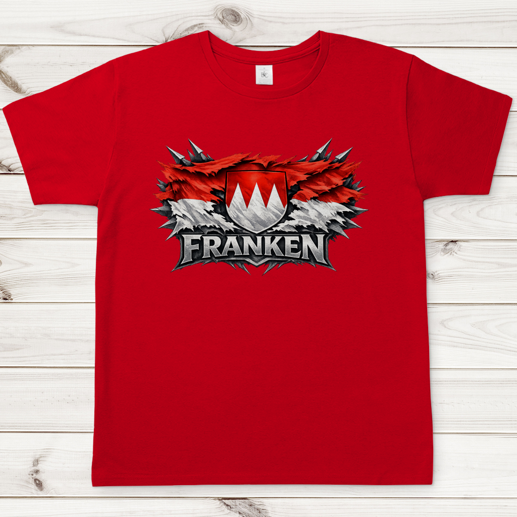 Herren T-Shirt Franken Fahne